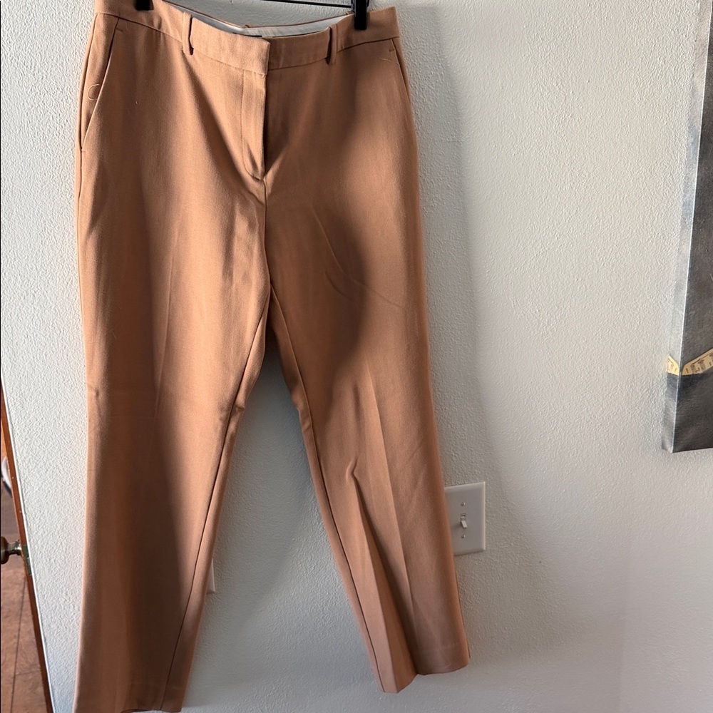 Ann Taylor Women's Tan Trousers